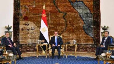 السيسي