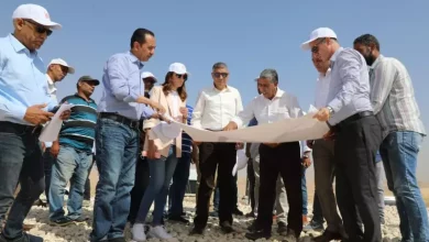 محافظ الجيزة