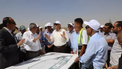 الجيزة