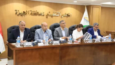 الجيزة