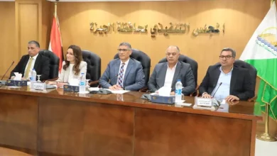 الجيزة