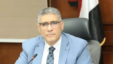محافظ الجيزة