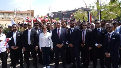 مجلس الشيوخ