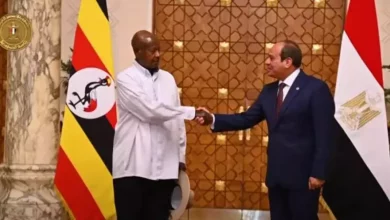 السيسي