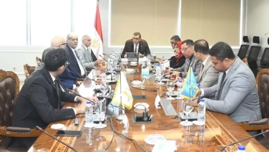 وزير الاسكان