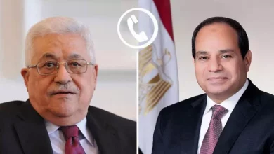 السيسي
