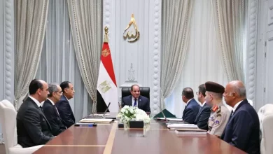 السيسي