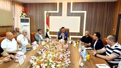 الاسكان
