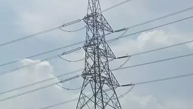 قطاع الأعمال