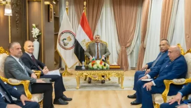 وزير الإنتاج الحربي
