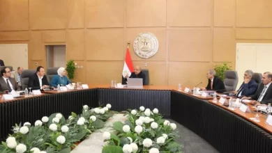 وزير الكهرباء