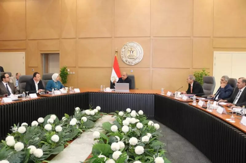وزير الكهرباء