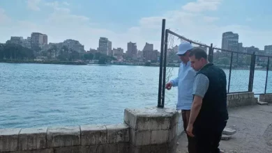 وزير الكهرباء