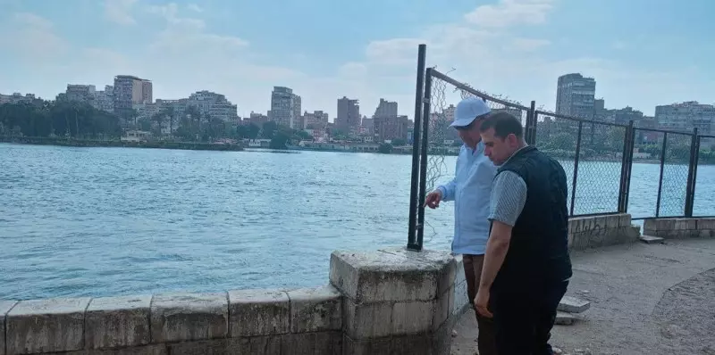 وزير الكهرباء