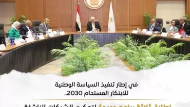 التعليم العالى