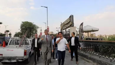 محافظ الجيزة