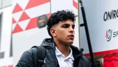محمد السيد