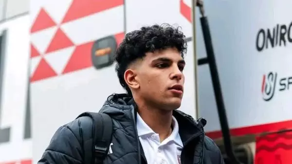 محمد السيد