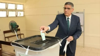 محافظ الجيزة