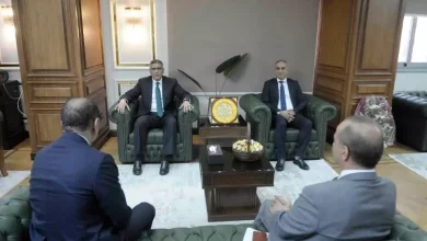 محافظ الجيزة