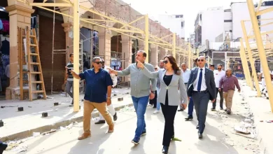 وزيرة التنمية