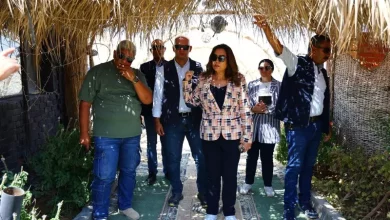 وزيرة التنمية