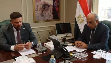 وزير الكهرباء