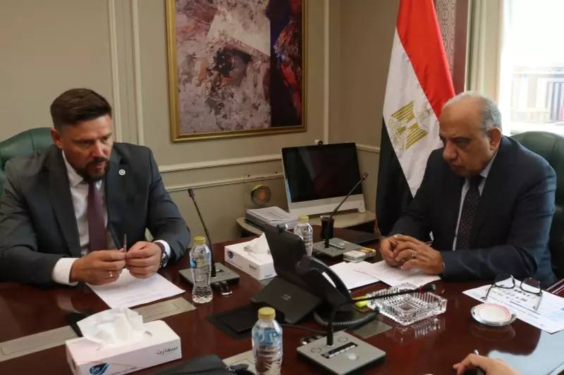 وزير الكهرباء
