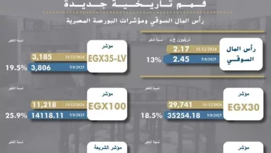 وزير الاستثمار