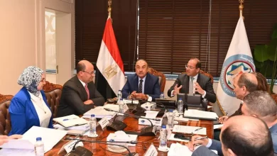 وزير المالية
