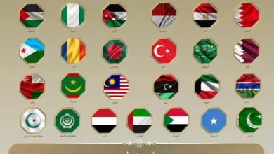 اللجنة الوزارية العربية