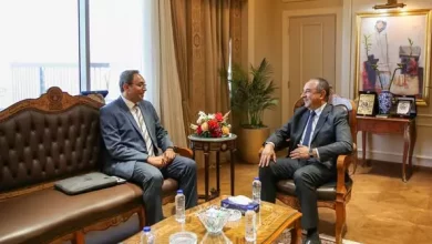 وزير قطاع الأعمال