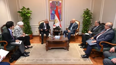 الصناعة