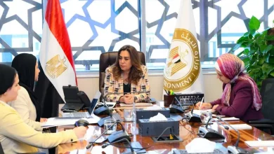 التنمية
