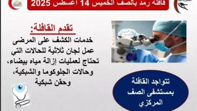 محافظة الجيزة