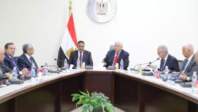 التعليم العالي