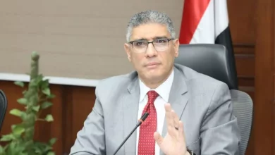 محافظ الجيزة