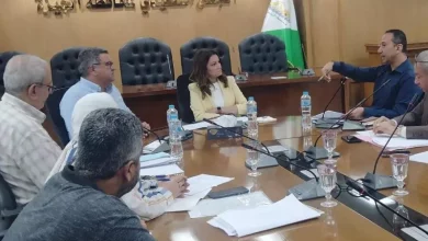 الجيزة
