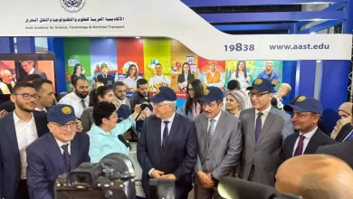التعليم العالي