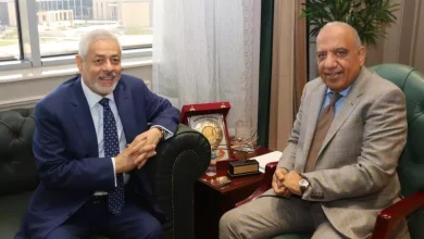 وزير الكهرباء