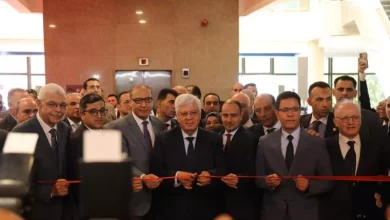 التعليم العالي