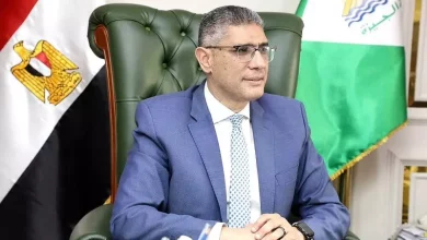 محافظ الجيزة