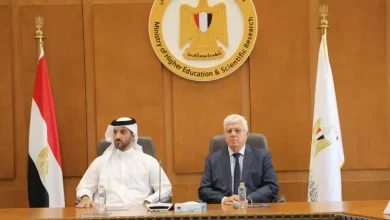 التعليم العالي
