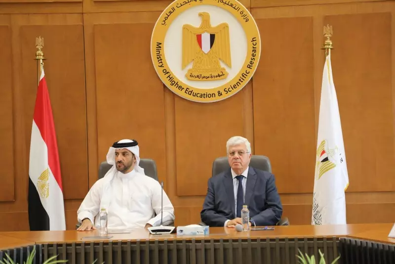 التعليم العالي