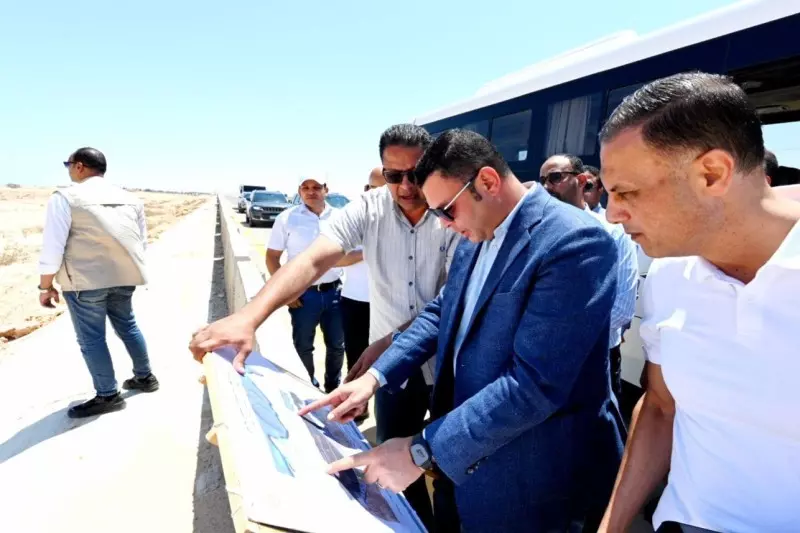 الاسكان