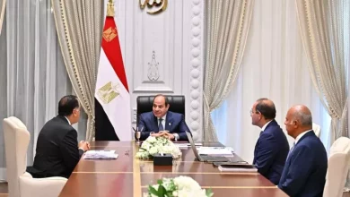 السيسي