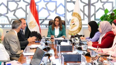 وزيرة التنمية