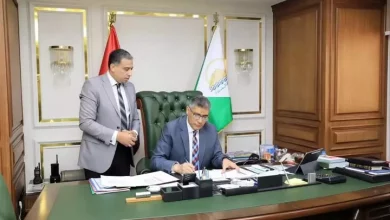 الجيزة