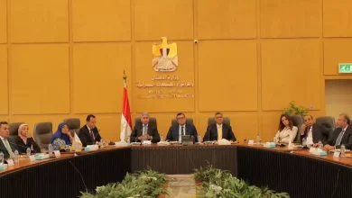 محافظ الجيزة