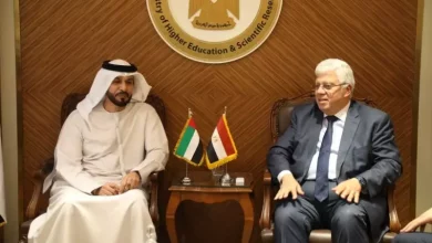 التعليم العالي